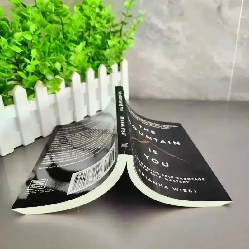 The Mountain Is You by Brianna Wiest