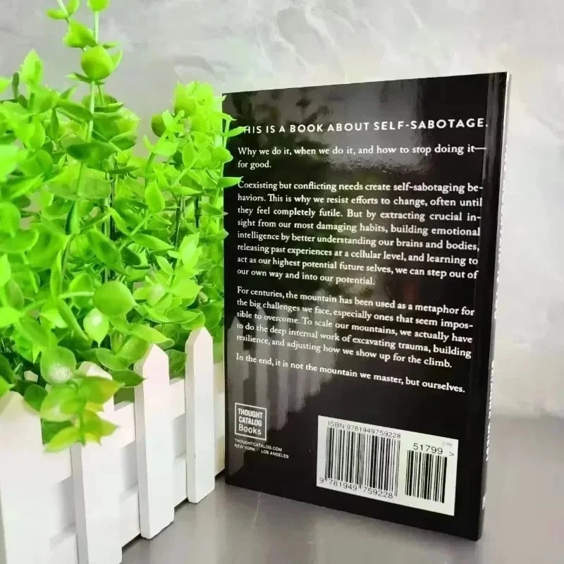 The Mountain Is You by Brianna Wiest