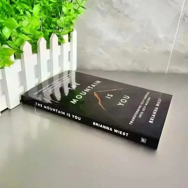 The Mountain Is You by Brianna Wiest